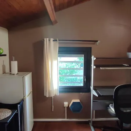 Chambres Dans En Colocation Avec Jardin Tram 1 & 2